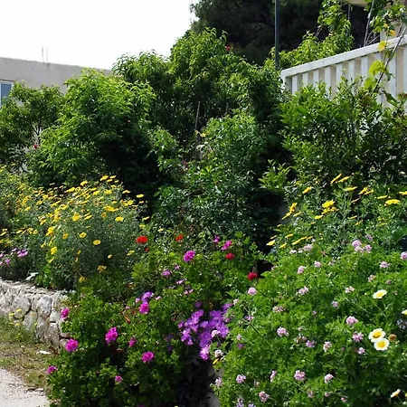 And By The Sea Cove Saplunara, Mljet - 4907 Saplunara