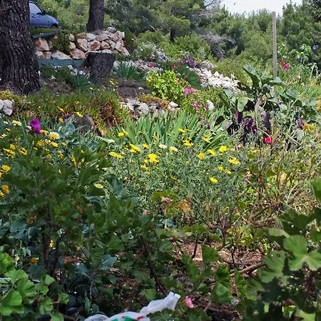 And By The Sea Cove Saplunara, Mljet - 4907