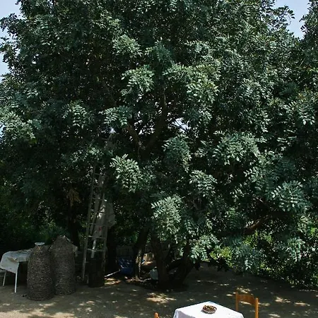 And By The Sea Cove Saplunara, Mljet - 4907 Saplunara