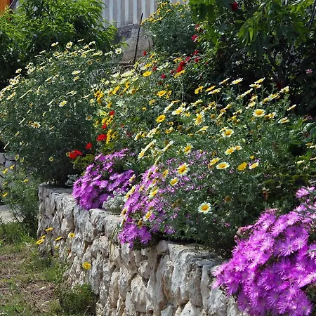 And By The Sea Cove Saplunara, Mljet - 4907 Саплунара