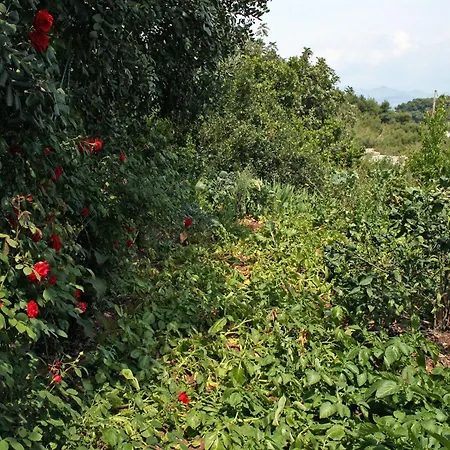 And By The Sea Cove Saplunara, Mljet - 4907 3* Saplunara